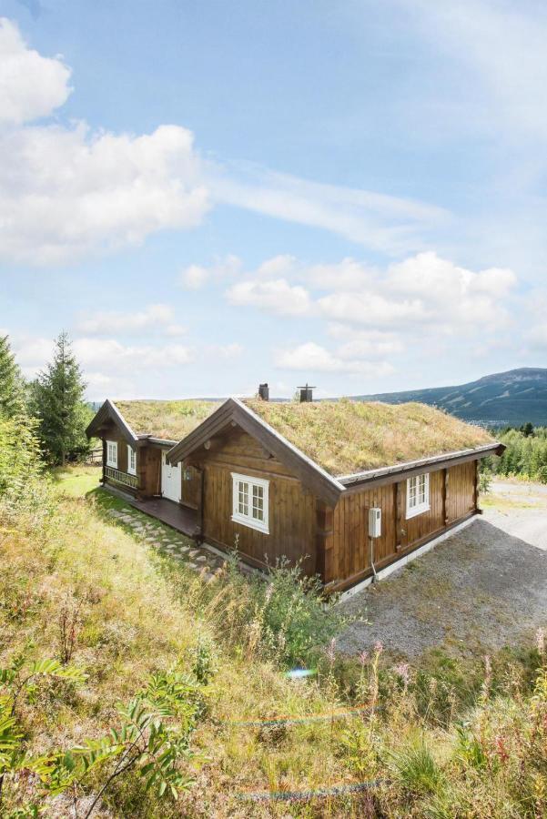 Reveenka - Cabin In Trysil With Jacuzzi For Rent Exterior photo