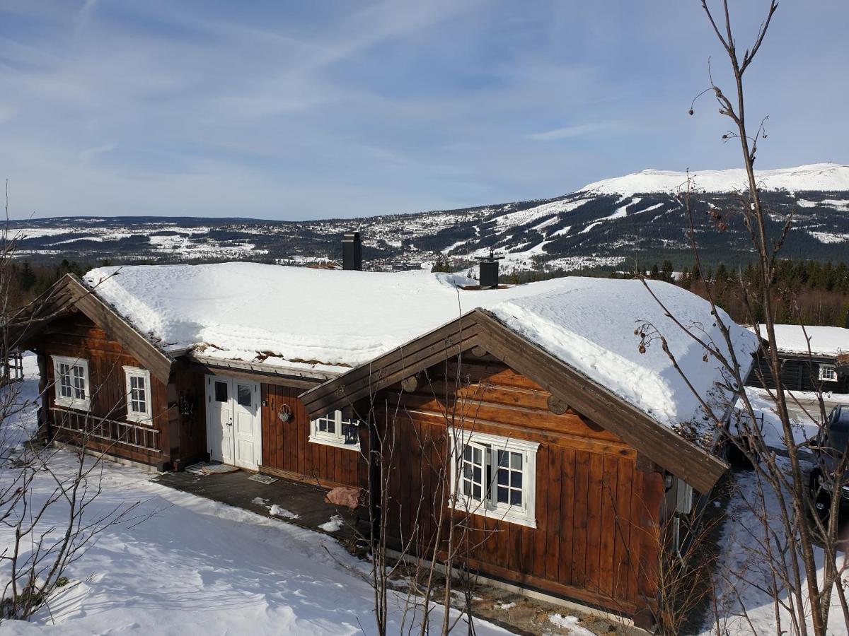 Reveenka - Cabin In Trysil With Jacuzzi For Rent Exterior photo