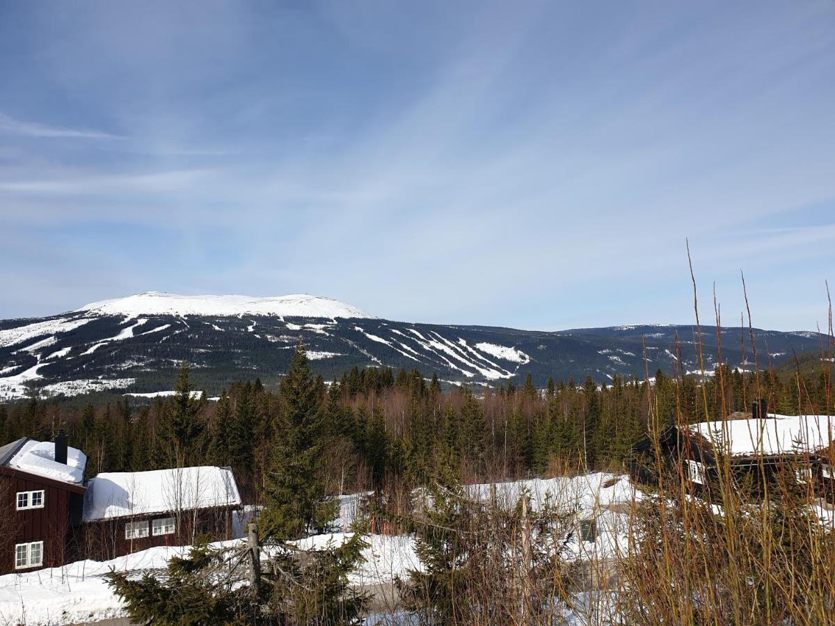 Reveenka - Cabin In Trysil With Jacuzzi For Rent Exterior photo