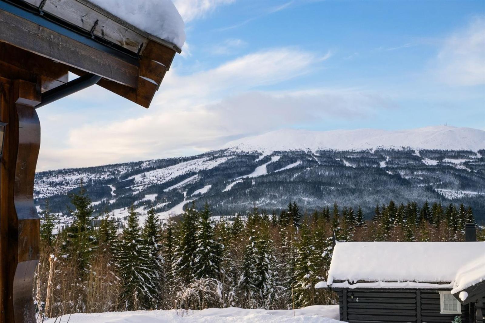 Reveenka - Cabin In Trysil With Jacuzzi For Rent Exterior photo